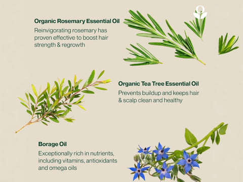 How to Use: Balmonds Hair & Scalp Oil - 50ml ingredients