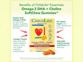 ChildLife Omega-3 DHA + Choline SoftChew Gummies 27 tablets DHA cognitive support passion fruit flavor
