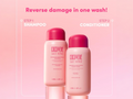Coco & Eve Sweet Repair Shampoo with Ceramides & Vitamin B5 - 280ml & conditioner.