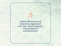 Trace Minerals Electrolyte Stamina Tablets - 90 Count hydration and electrolyte support benefits graphic
