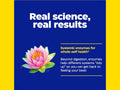 Enzymedica Candidase 42 Capsules key benefits yeast enzyme support formula