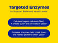 Enzymedica Candidase 42 Capsules key benefits yeast enzyme support formula