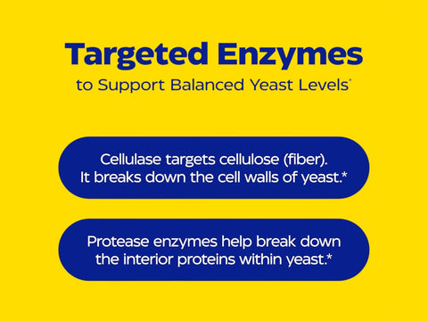 Enzymedica Candidase 42 Capsules key benefits yeast enzyme support formula