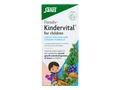 Floradix Kindervital Liquid Supplement box angled product view