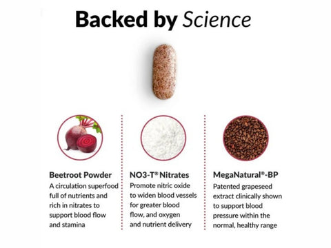 Supplement capsule with ingredients labeled 'Beetroot Powder', 'NO3-T Nitrates', and 'MegaNatural-BP' on a white background.