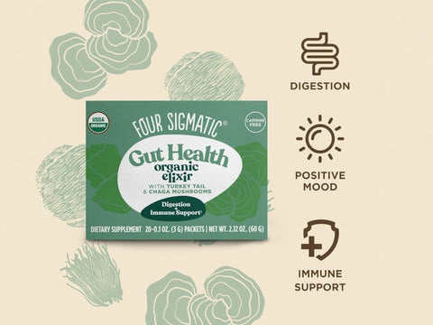 Four Sigmatic Organic Chaga Drink Mix - 20 Packets