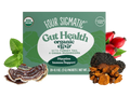 Four Sigmatic Organic Chaga Elixir Drink Mix 20 packets front packaging on white background
