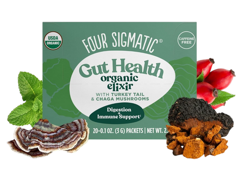 Four Sigmatic Organic Chaga Elixir Drink Mix 20 packets front packaging on white background