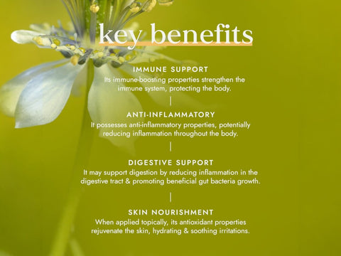 Fushi Organic Black Seed Oil 100 ml key benefits graphic highlighting hair body and skin care use