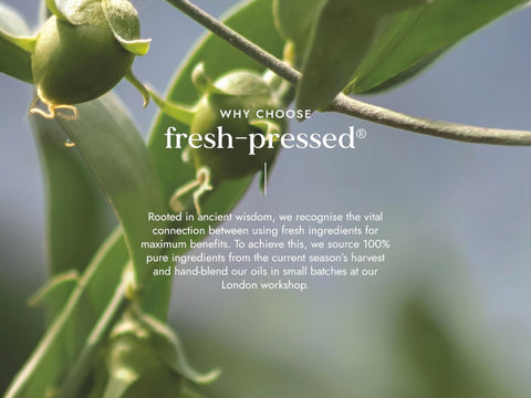 Fushi Organic Jojoba Oil 30 ml key benefits graphic highlighting replenishing care for dry and sensitive skin