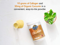 Garden of Life Collagen & Turmeric Powder, Apple Cinnamon - 220g