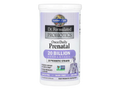 Garden of Life Dr. Formulated Once Daily Prenatal Probiotic 30 Capsules front bottle packaging showing product name and branding