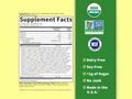 Garden of Life Dr Formulated Organic Digest with Papain and Bromelain 90 Chewables supplement facts nutrition information panel