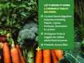 Garden of Life Dr Formulated Organic Digest with Papain and Bromelain 90 Chewables ingredients information label