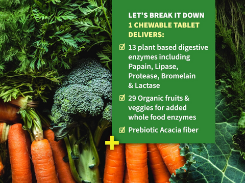 Garden of Life Dr Formulated Organic Digest with Papain and Bromelain 90 Chewables ingredients information label