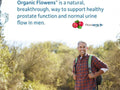 Garden of Life Dr. Formulated Probiotics+ for Men, 50 Billion CFU - 60 Veg Caps