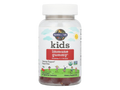 Garden of Life Kids Gummies Vitamin C D & Zinc Cherry 60 Count front bottle packaging showing product name and branding
