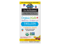 Garden of Life Kids Probiotic Organic Chewable with Vitamin C and D 30 Count bottle front label packaging- Banana flavor