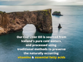 Garden of Life Olde World Icelandic Cod Liver Oil, Lemon Mint - 236ml