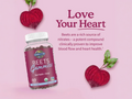 Garden of Life Organic Beet Root Gummies, Raspberry - 60 Count