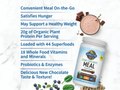 Garden of Life Raw Organic Meal Plant-Based All-In-One Protein Chocolate 539g