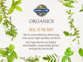 Garden of Life Organics Daily Balance - Adaptogenic Herbs & B Vitamins - 120 Tablets