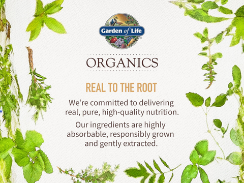 Garden of Life Organics Gelatinised Peruvian Maca Root Powder 