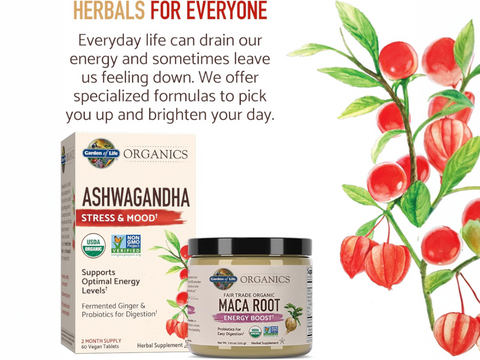 Garden of Life Organics Gelatinised Peruvian Maca Root Powder 225g side tub packaging with key benefits detail