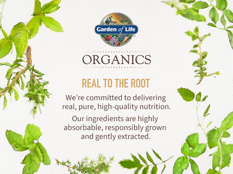 Garden of Life Organics Men's Gummy Vitamins, Berry, 120 Count