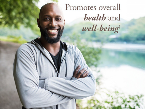 Garden of Life Organics Men's Multi 40+ - Whole Food Tablets