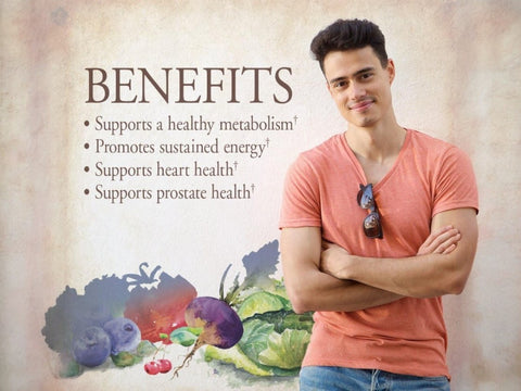Garden of Life Organics Once Daily Whole Food Multivitamin Vegan Tablet for Men supplement facts nutrition information panel
