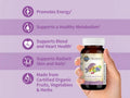 Garden of Life Organics Once Daily Whole Food Multivitamin Vegan Tablet for Women supplement facts nutrition information panel