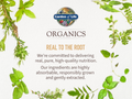 Garden of Life Organics Prenatal Gummies Multivitamin - Vegan Berry - 120 Count