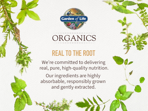 Garden of Life Organics Prenatal Gummies Multivitamin - Vegan Berry - 120 Count