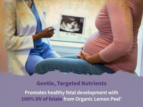 Garden of Life Organics Prenatal Gummies Multivitamin - Vegan Berry - 120 Count