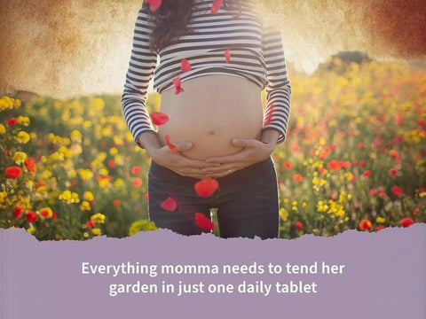 Garden of Life Organics Prenatal Once Daily - with Folate & Iron - Vegan Tablets