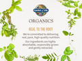 Garden of Life Organics Vegan Vitamin D3 Spray - 1000 IU - 58ml