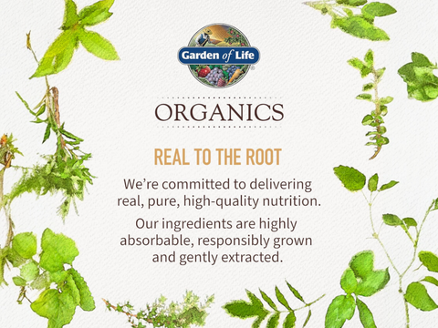 Garden of Life Organics Whole Food Multivitamin for Men, Vegan Tablets