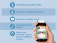 Garden of Life Organics Whole Food Multivitamin for Men Vegan Tablets ingredients information label
