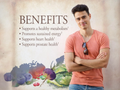 Garden of Life Organics Whole Food Multivitamin for Men, Vegan Tablets