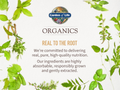 Garden of Life Organics Women's Gummy Vitamins, Berry, 120 Count