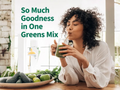 Garden of Life Perfect Food Original Super Green Formula Powder 