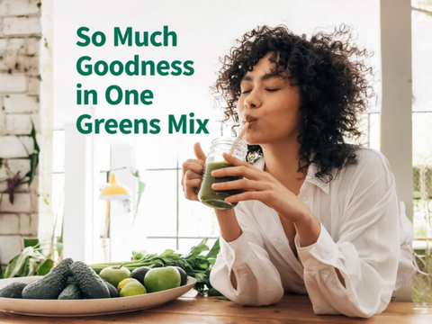 Garden of Life Perfect Food Original Super Green Formula Powder 