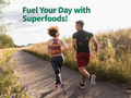 Garden of Life Perfect Food Original Super Green Formula Powder - 300g