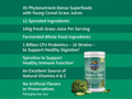 Garden of Life Perfect Food Super Greens Formula Powder with key benefits detail