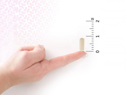 Garden of Life Probiotics Mood Plus 50 Billion CFU and Ashwagandha 60 Veggie Caps capsules product view