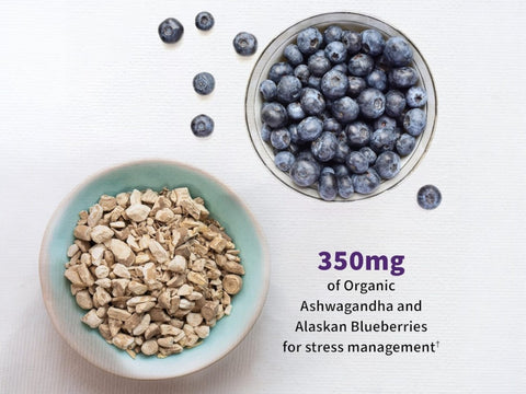 Garden of Life Probiotics Mood+ - 50 Billion CFU & Ashwagandha - 60 Veggie Caps