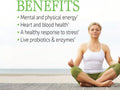 Garden of Life Raw B Complex Vitamin Vegan Capsules with Probiotics information panel