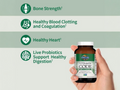 Garden of Life Vitamin Code Raw K Complex Vitamin K2 & K1 60 Veg Caps with key benefits detail