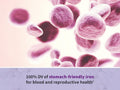 Garden of Life Vitamin Code Raw Prenatal Multivitamin - with Iron & Folate - Vegan Caps